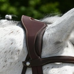 Antares ogłowie Precision Comfort brązowe