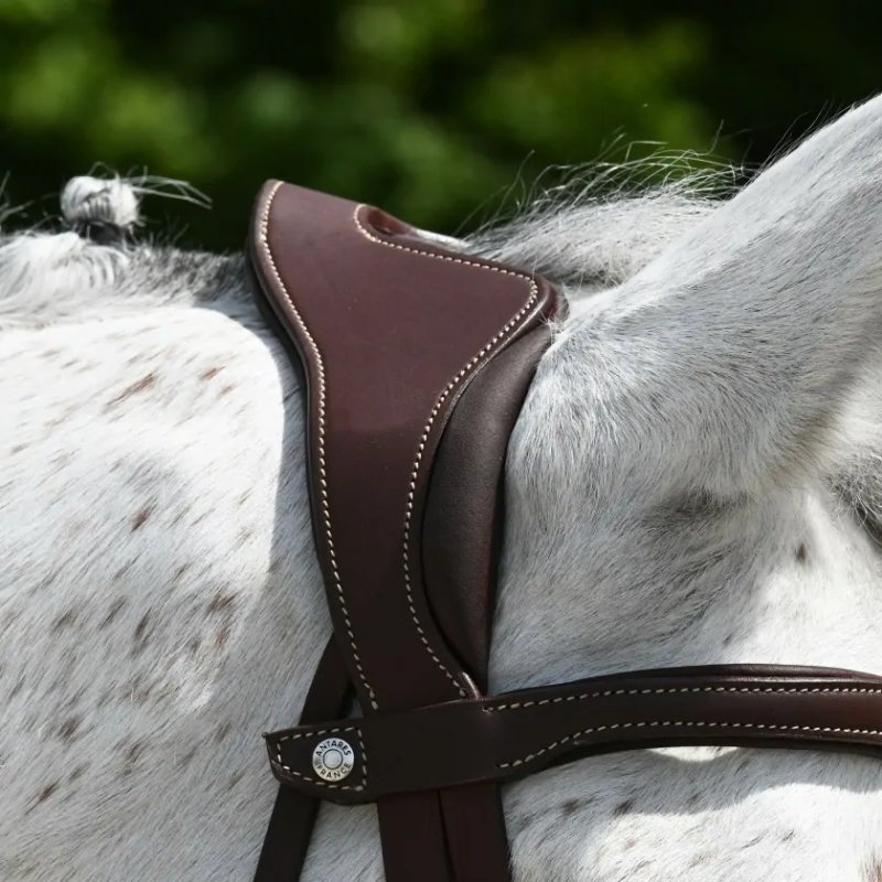 Antares ogłowie Precision Comfort brązowe