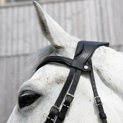 Antares ogłowie Precision Comfort czarne