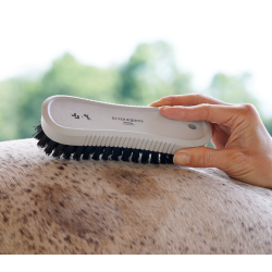 Lullalove szczotka Panierka SuperShine