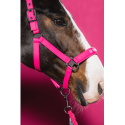 Eskadron kantar Softshell DP Dynamic 26 lipstick