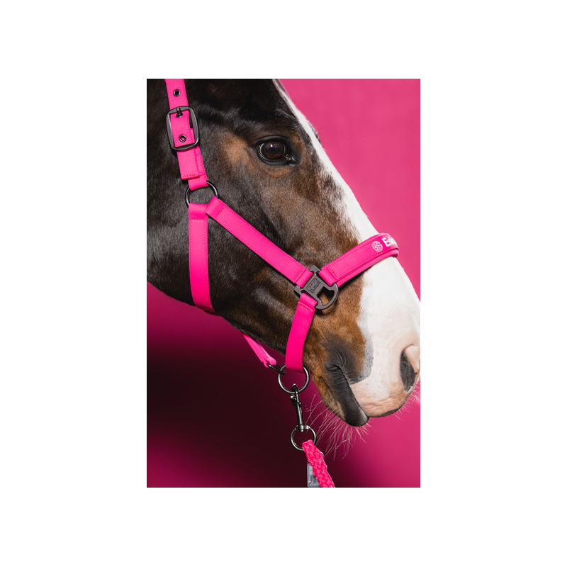 Eskadron kantar Softshell DP Dynamic 26 lipstick