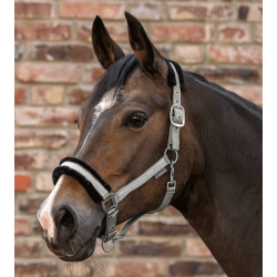 Waldhausen kantar Elegant sage