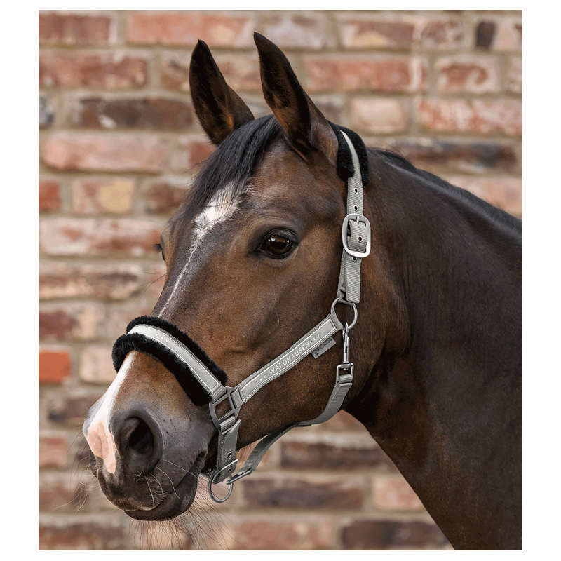 Waldhausen kantar Elegant sage