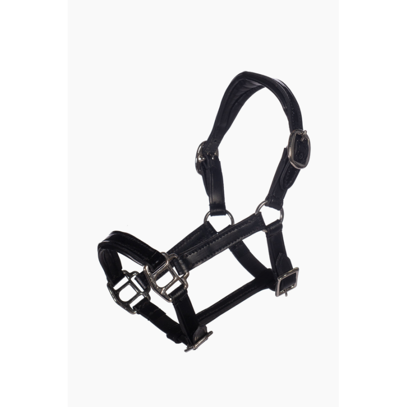 HKM Hobby Horse kantar skórzany z lakierkiem