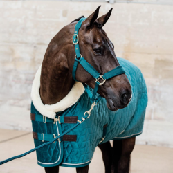 Kentucky derka stajenna Show Velvet 160g szmaragdowa