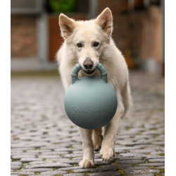 Waldhausen piłka Fun o jabłkowym zapachu 25cm