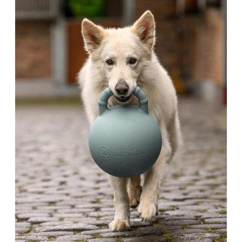 Waldhausen piłka Fun o jabłkowym zapachu 25cm