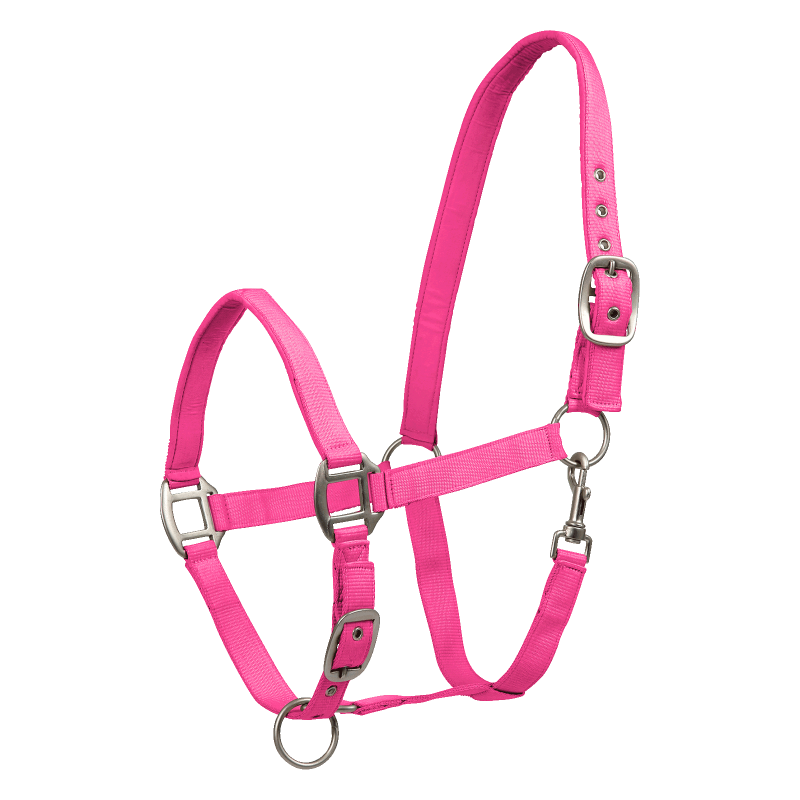 Waldhausen kantar Satin pink