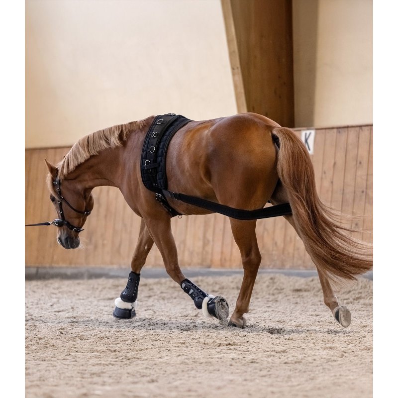 Waldhausen bandaż wspomagający pracę zadu
