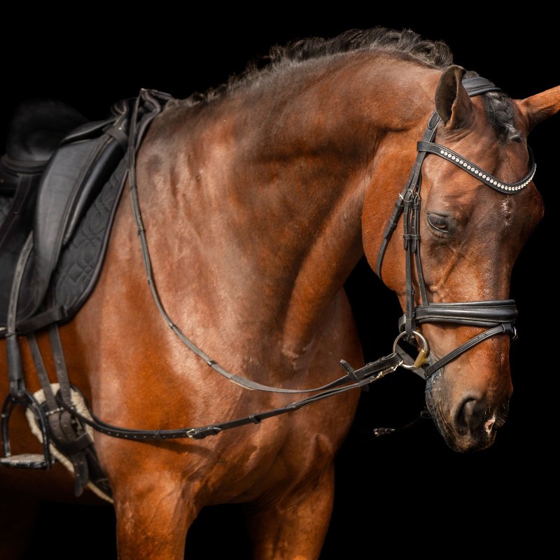 Imperial Riding wypinacze skórzane z elastyczną wstawką black