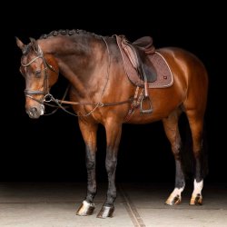 Imperial Riding wypinacze skórzane z elastyczną wstawką brown