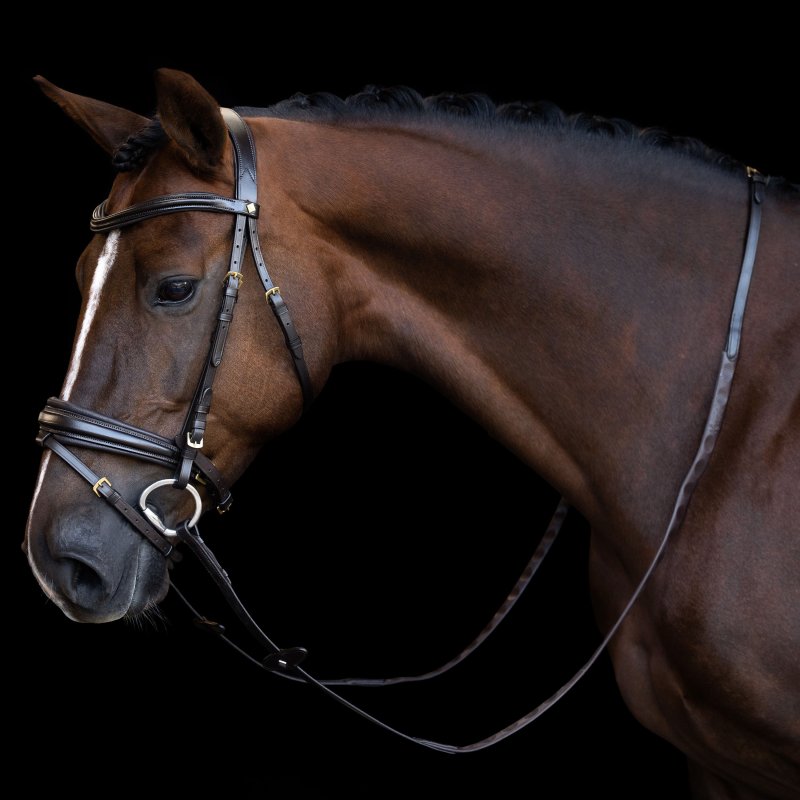 Imperial Riding wodze gumowe brown