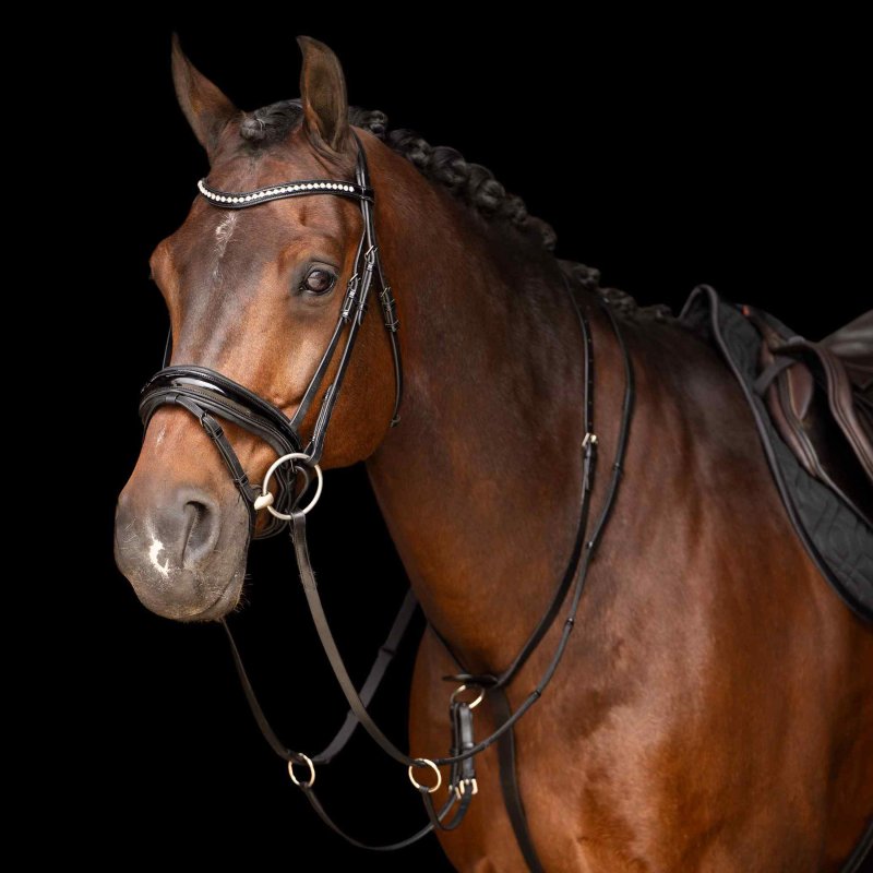 Imperial Riding wytok skórzany black