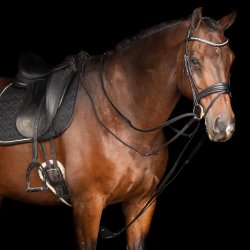 Imperial Riding czarna wodza black