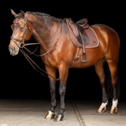 Imperial Riding czarna wodza brown