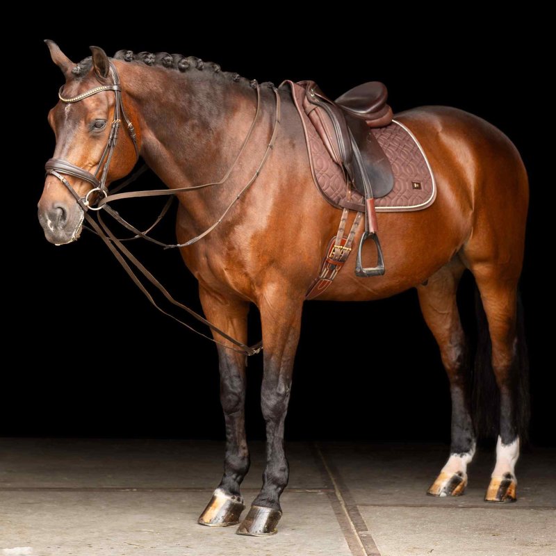 Imperial Riding czarna wodza brown