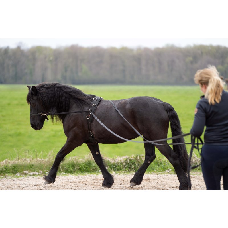 Imperial Riding podwójna lonża Free Ride black