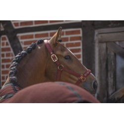 Eskadron kantar Sparkle DP Heritage 26/27 merlot