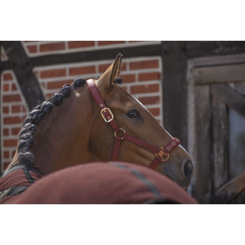 Eskadron kantar Sparkle DP Heritage 26/27 merlot