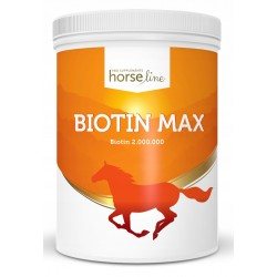 HorseLine Biotin Max 500g