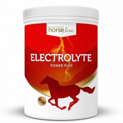 HorseLine Elektrolity Power...