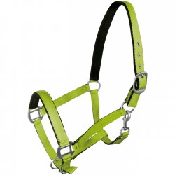 York kantar Fluo